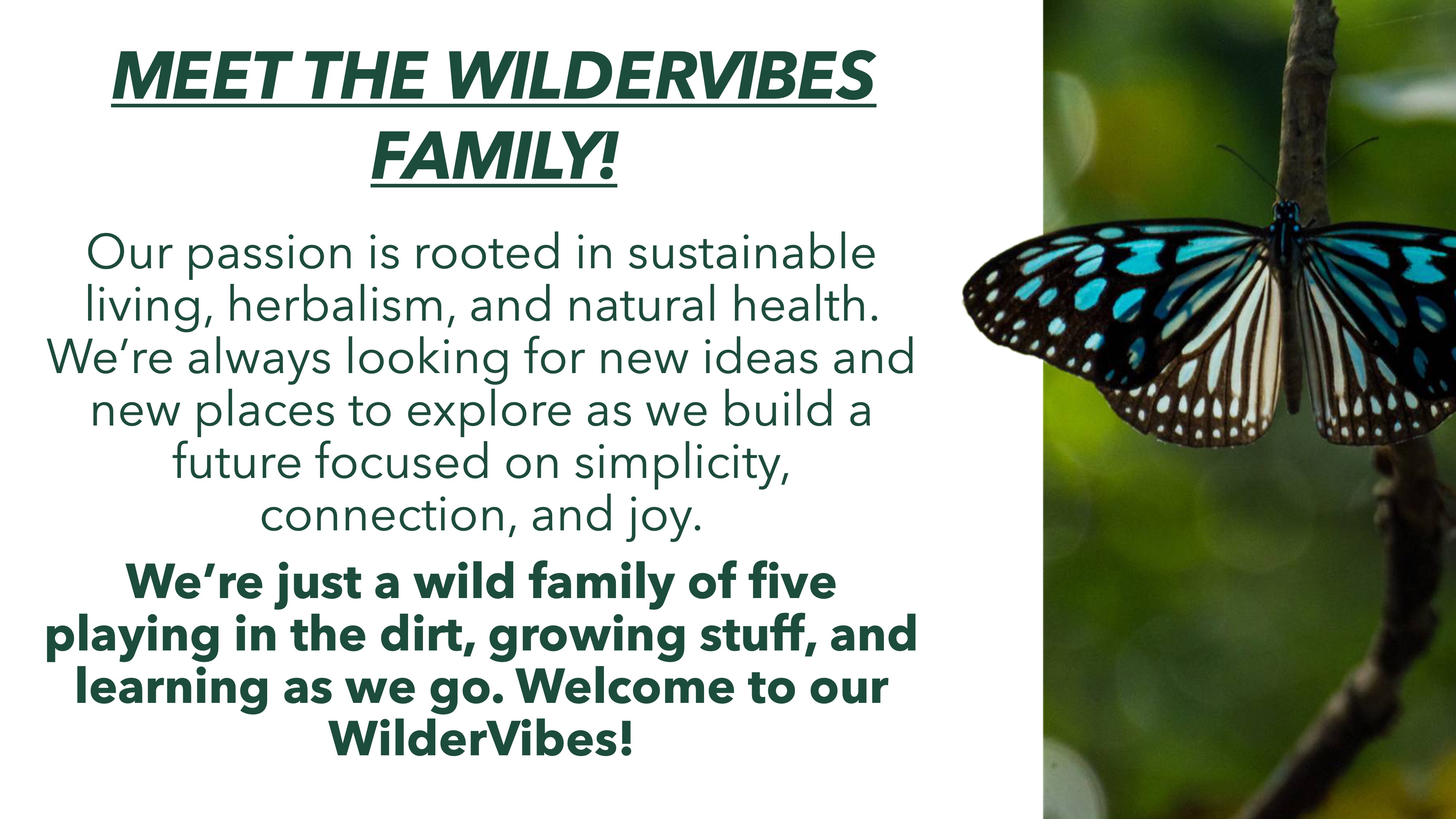Meet the wildervibes family! Our passion is rooted in sustainable living, herbalism, and natural health. We’re always looking for new ideas and new places to explore as we build a future focused on simplicity, connection, and joy.
We’re just a wild family of five playing in the dirt, growing stuff, and learning as we go. Welcome to our WilderVibes!
